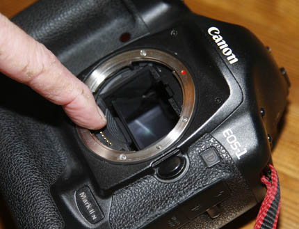 Annoying fault on EOD 1D